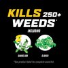 Ortho WEED KILLR WC RTS 32OZ 0204910